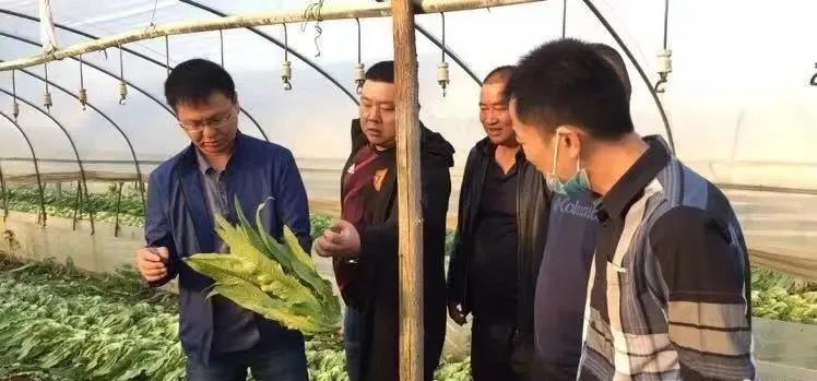 beats365(�й���)-Ψһ�ٷ���վ