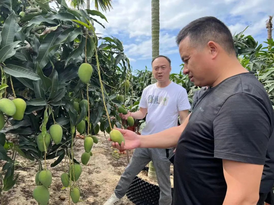 beats365(�й���)-Ψһ�ٷ���վ