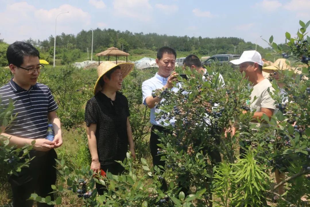 beats365(�й���)-Ψһ�ٷ���վ