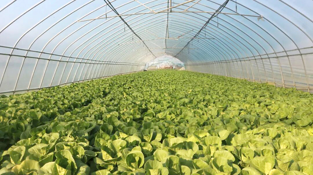 beats365(�й���)-Ψһ�ٷ���վ