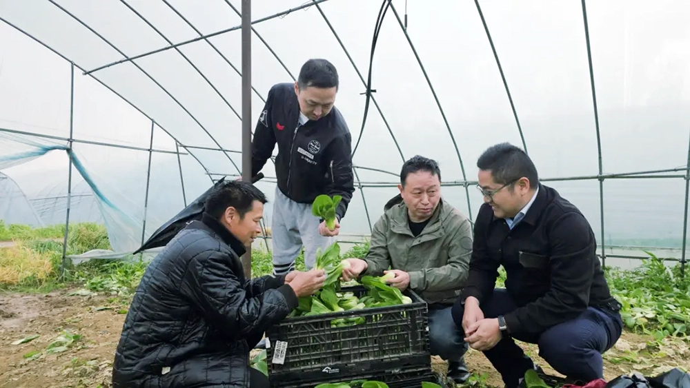 beats365(�й���)-Ψһ�ٷ���վ